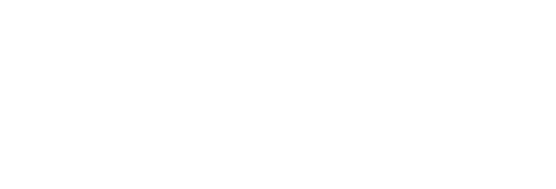 Website Design & Hosting: The Graphic Vine